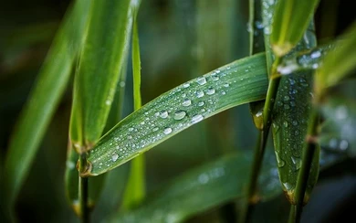 Bildausschnitt MöhneLife.jpg