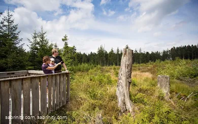 Hochmoor
