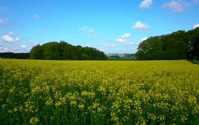 DA_DSC_0070.JPG