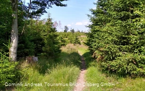 Weg bei Bontkirchen