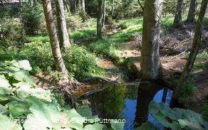 Möhneauen