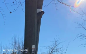 Winterbild Wennigloher Rundweg Winterbild Wennigloher Rundweg