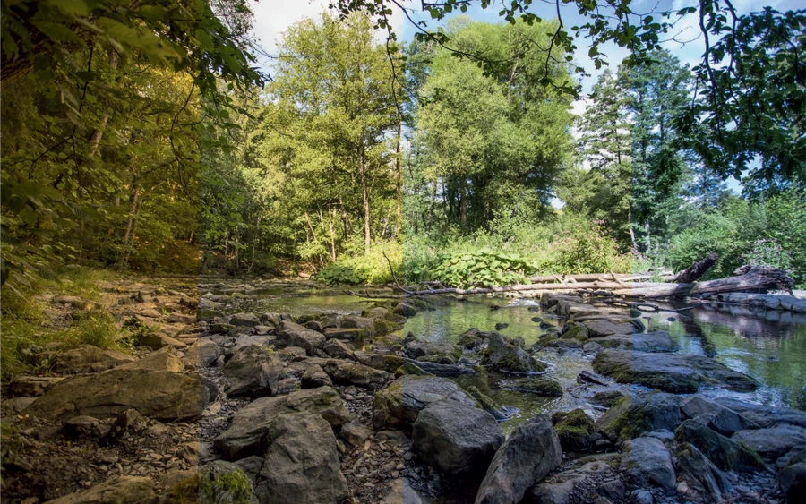 Lichtfarbe für herbstliche Stimmung klein.png