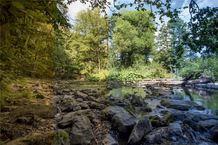 Lichtfarbe f&uuml;r herbstliche Stimmung klein.png