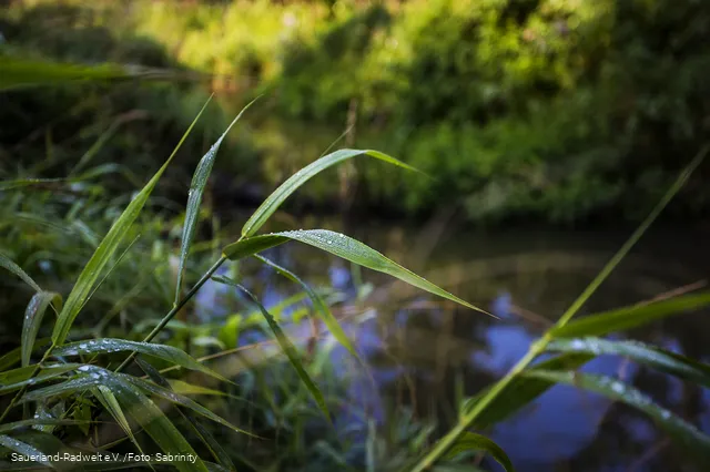 Natur- Erlebnispunkt