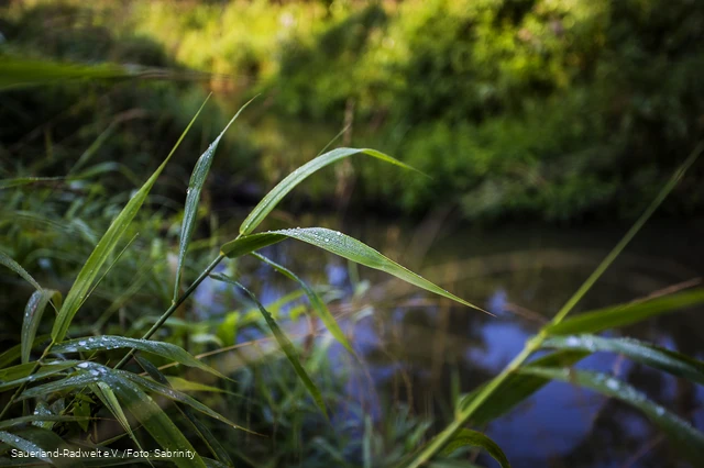Natur- Erlebnispunkt