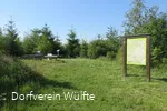 Bulsterkopf Sommer