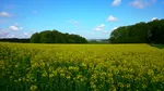 DA_DSC_0070.JPG
